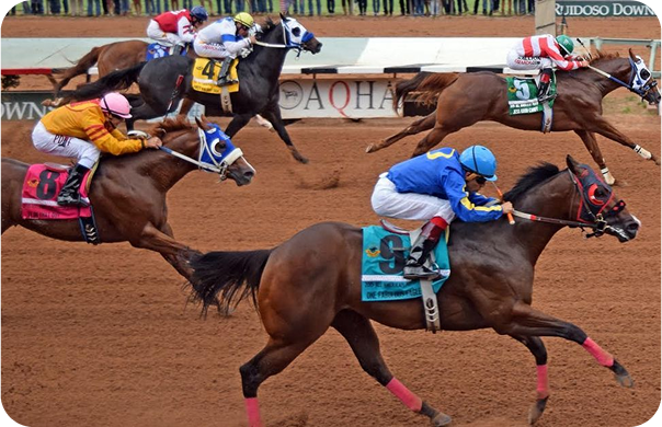 Horse Racing